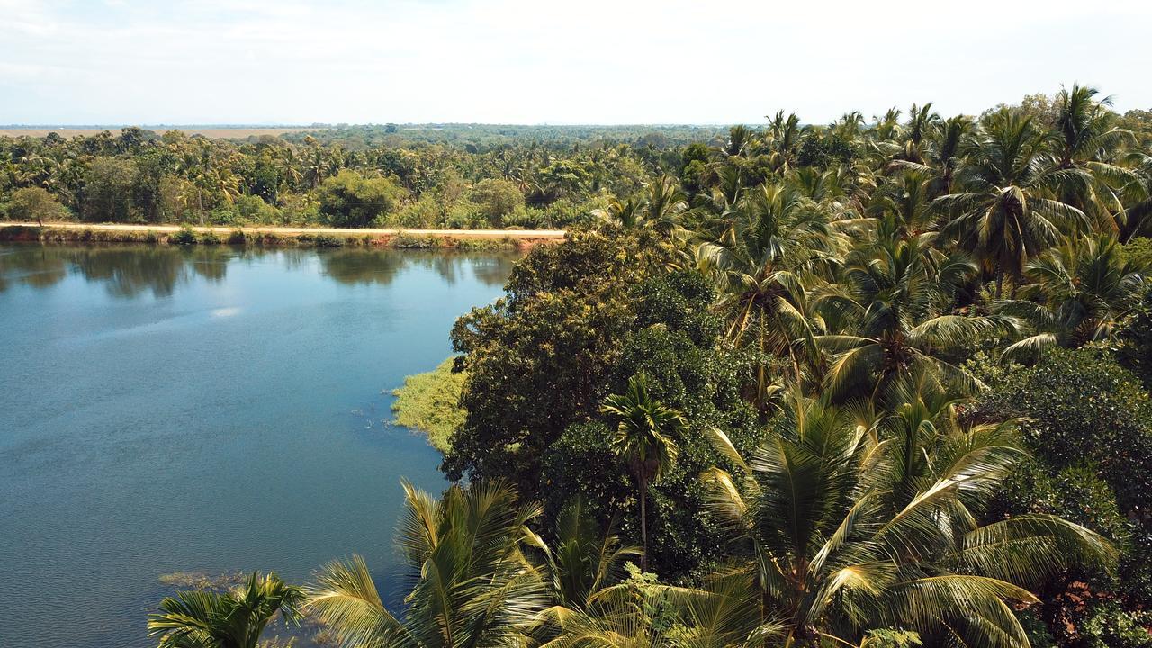 Splendid Lake View Safari Lodge Удавалаве Экстерьер фото